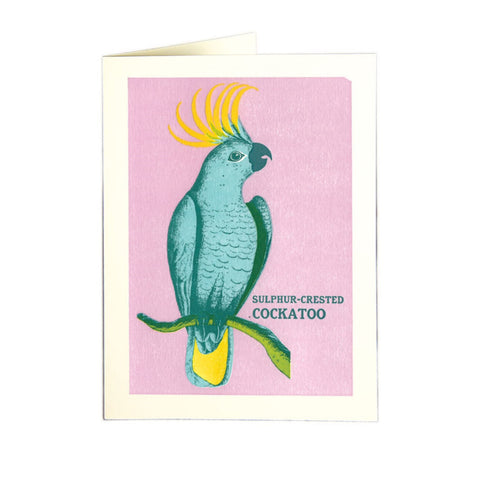 Letter pressed card featuring a brightly coloured cockatoo
