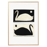 Swans Negative Positive A3 Print
