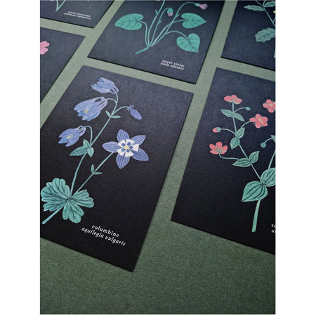 Set Of 6 Wild Flower Postcards