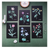 Set Of 6 Wild Flower Postcards