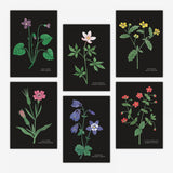 Set of six postcards featuring wild flowers on a black background.