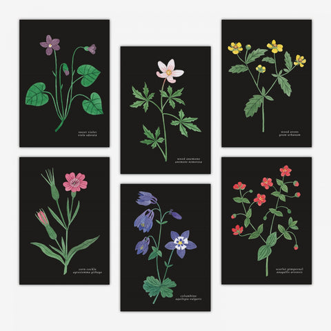 Set of six postcards featuring wild flowers on a black background.